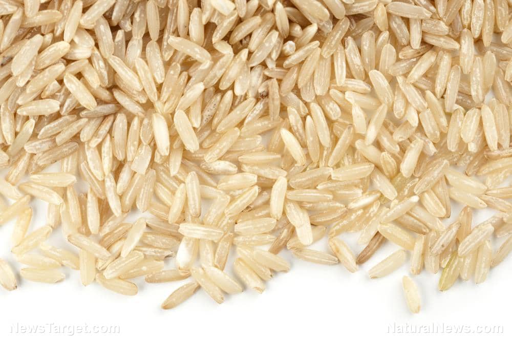 RICE Is the Latest Target of Climate Change Cultists and the Global War to Starve Populations to Death