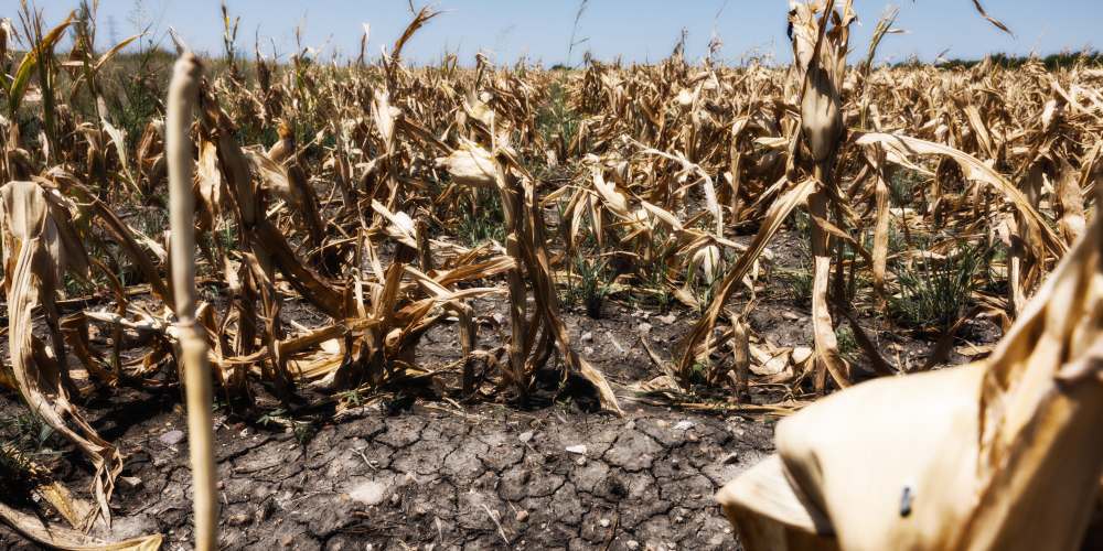 U.S. Corn and Soy Crops Are at Risk as Drought Conditions Rapidly Spread in America’s Breadbasket