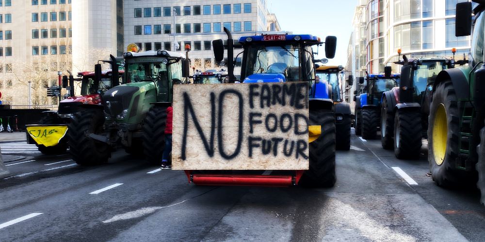 After Shutting Down Thousands of Farms, European Governments Are Warning About a Future Food Crisis
